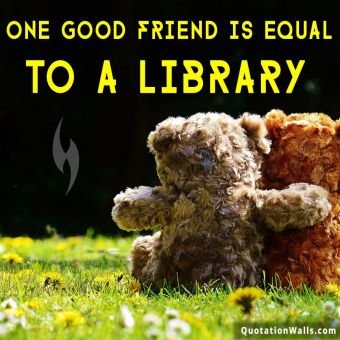 Life quotes: Good Friend Is Equal To Library Instagram Pic