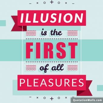 Sad quote: Illusion is the first of all pleasures.