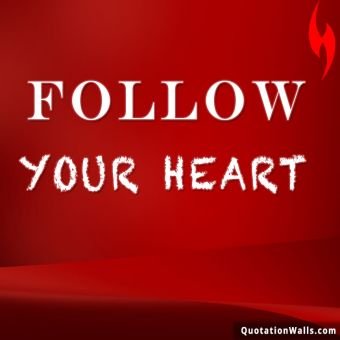 Love quotes: Follow Your Heart Whatsapp DP
