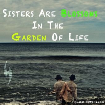 Love quotes: Sisters Are Blossoms Whatsapp DP