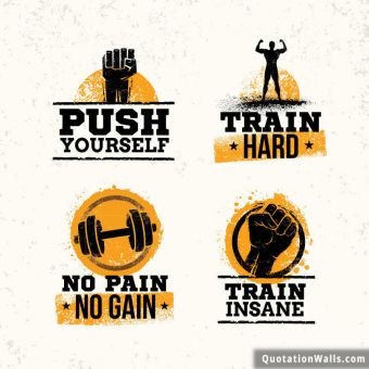 Workout quote: Push Yourself. Train Hard. No Pain no gain. Train Insane