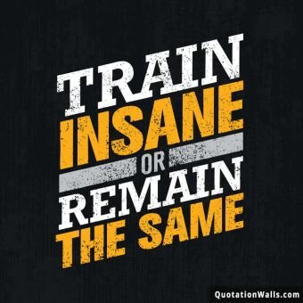Motivational quotes: Train Insane Whatsapp DP